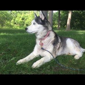 Meet your Posher, Laura